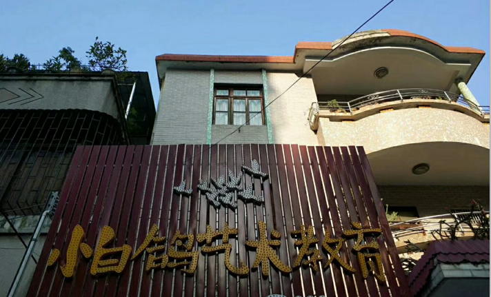 小白鸽艺术教育