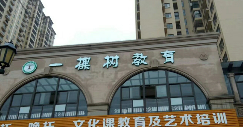 一棵树教育