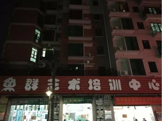鱼群艺术