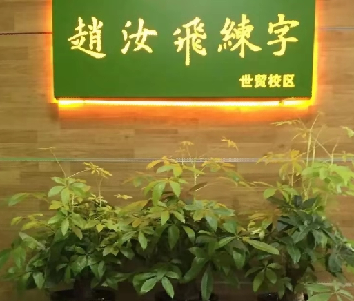 如飞教育赵汝飞练字